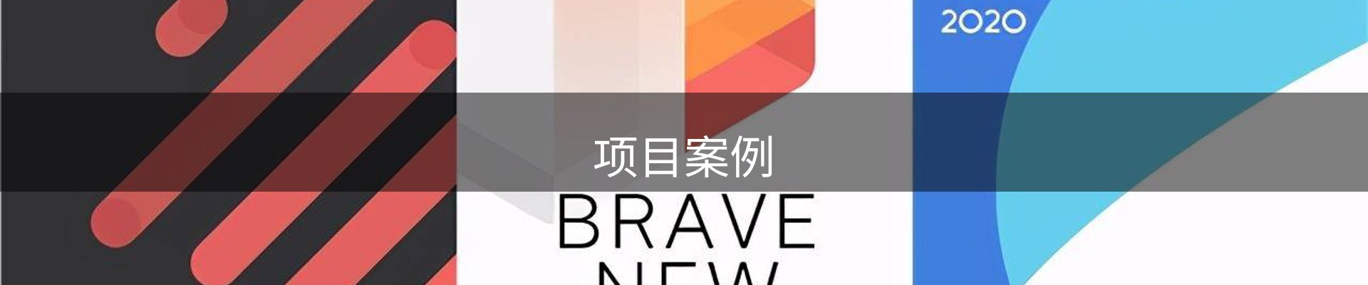 项目案例